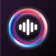 Banger for Artists