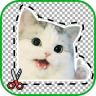 Sticker Maker & Meme Editor
