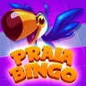 Praia Bingo - Bingo Games