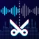 Müzik Editörü, Ses Editörü