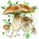 Na grzyby
