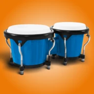 Congas & Bongos: เครื่องกระทบ