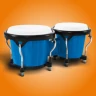 Congas & Bongos: เครื่องกระทบ