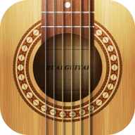 Real Guitar: acoustic electric