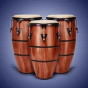 Real Percussion: เครื่องดนตรี