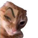 Nhãn Memes cho WASticker