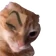 Nhãn Memes cho WASticker