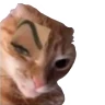 Nhãn Memes cho WASticker