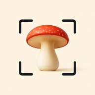 Grzyby Rozpoznawanie: Fungi ID