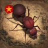 Vương Quốc Kiến - Gamota
