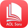 AÖL Soru, Açık Lise Soruları