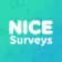 NiceSurveys - Paid Surveys