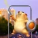 AR Dog Filter: Funny Moments