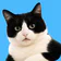 Cat Translator – Human to Pet
