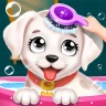 Yavru Köpek Spa & Salon