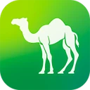 Camel Live