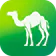 Camel Live