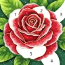 Relax Paint - Paint by Number