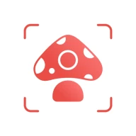Picture Mushroom - Mushroom ID