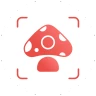 Picture Mushroom - Mushroom ID