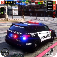 Arabası Oyunu: Polis Oyunu