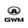 My GWM