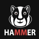 Hamer Hamster Secure VPN proxy