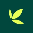 Bamboo: Invest. Trade. Earn.