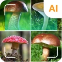 Identyfikator grzybów