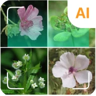 Nhận diện cây trồng