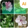 Nhận diện cây trồng