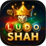 Ludo Shah - Dice Board Game