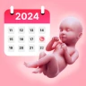 Pregnancy Tracker & Calculator