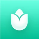 PlantIn Plant Identifier, Care