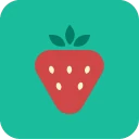 BLW Meals: Starting Solids