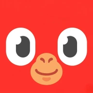Netify: YKS, TYT & AYT