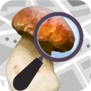 Mushroom Identify (identyfika