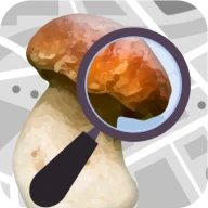Mushroom Identify  (identyfika