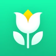Plant Parent: Plant Care Guide