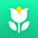 Plant Parent: Plant Care Guide