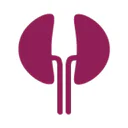 Dialysis of Drugs
