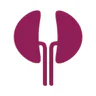 Dialysis of Drugs
