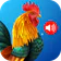Animal Ringtones