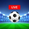 Soccer Live Scores & News