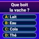 Millionaire 2026 Quiz & Trivia