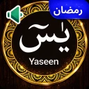 Yasin Suresi Ses Çevrimdışı