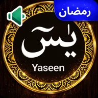 Yasin Suresi Ses Çevrimdışı
