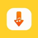 Tube Video Downloader MP3 MP4