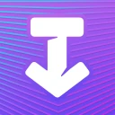 Any Video Downloader SSSTiktok