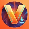 Video Downloader & Player